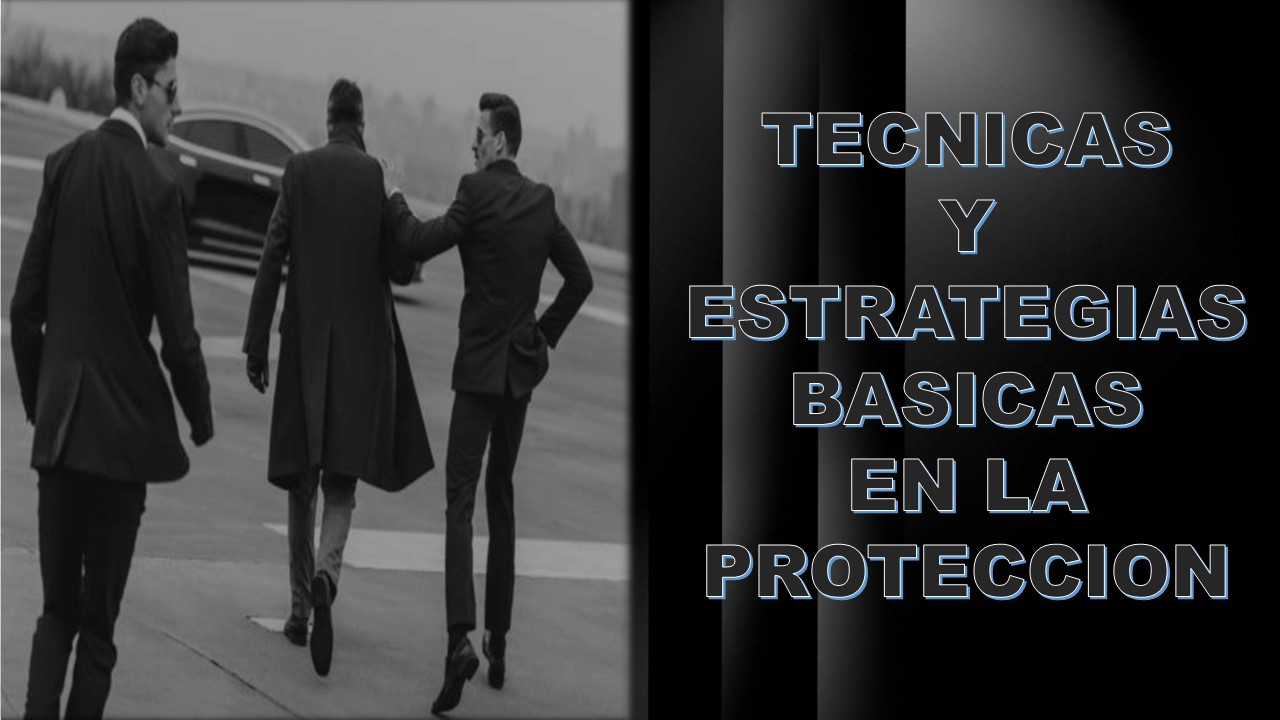 Técnicas y Estrategias en la Protección Ejecutiva